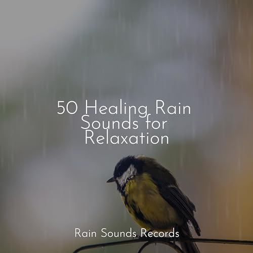 50 Healing Rain Sounds for Relaxation by Cascada de Lluvia on Amazon ...
