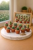 30 Graines Mini Cactus assortis – Mélange de 10 variétés de cactus et succulentes – Graines de plantes grasses – Semences décoration intérieur – Fleur Jardin   476