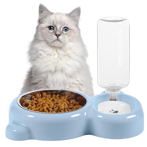Ensemble de gamelles pour nourriture et eau anti-renversement pour petits chats bleu