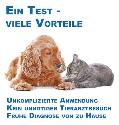 Cera-Pet Giardien Schnelltest für Hund und Katze 1 STK. I Nachweis von Darmparasiten I Test bei Durchfall für Hund und Katze I Für Hunde und Katzen bei Giardia I Wurmtest für Tiere
