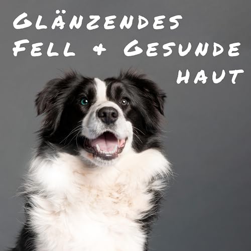 Sollis Fellfinesse | Fellwechselunterstützung für Hunde | Gegen Juckreiz, Dermatitis & Haarausfall | Unterstützung für Haut & Fell von Hunden | 100g