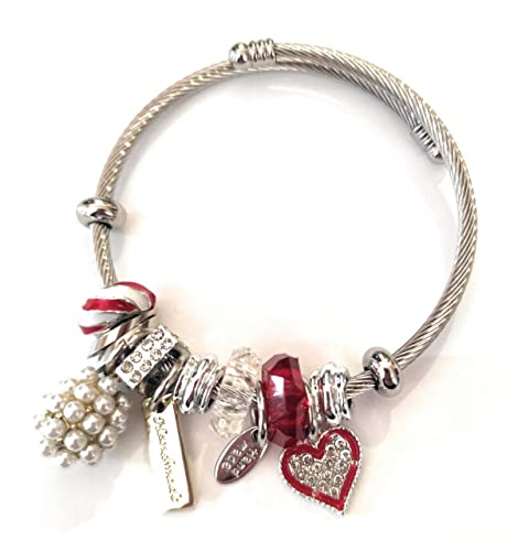 Faylinn Pulsera y Brazalete Mujer Acero Inoxidable Bonita | Fantasía Charm Elegante | Regalo Ideal para Cumpleaños, Día de la Madre, Hermana, Amigas, Compañeras o Esposa
