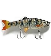 Amazon.com : 3-Pack Floating Segmented Lizard/Snake Lure for Largemouth Bass,  Smallmouth Bass, Musky & Pike; Moves Like a Real Snake : Sports & Outdoors