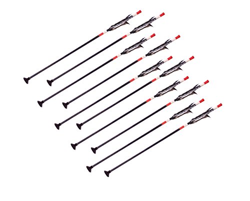 Preisvergleich Produktbild Holzspielerei Holzpfeile (10 Indianerpfeile Saugnapf 50 cm)