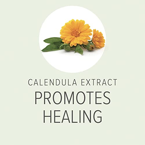 Pure-and-Natural-Pet-Certified-Organic-Boo-Boo-Balm