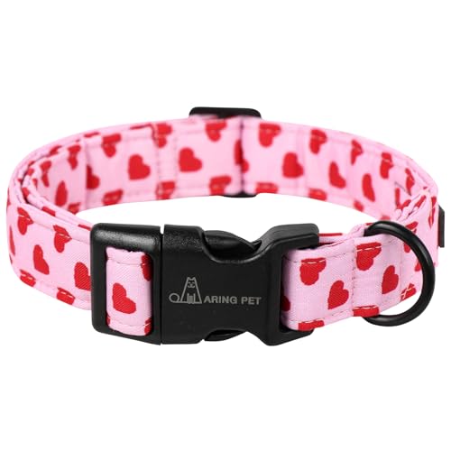 ARING PET o^Cf[ ̎ցA킢sÑn[gybg NCbN[XobNt q S M