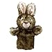 Price comparison product image The Puppet Company - Rabbit (Wild) - Puppet Buddies - Animal Hand Puppet