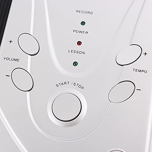 JTYX 49 Touches Roll Up Piano Piano électronique Flexible avec Haut-Parleur Portable Hand Roll Piano adapté aux débutants et aux Enfants - Les Beatles, Paul McCartney, John Lennon, RIngo Starr, George Harrison JTYX 49 Touches Roll Up Piano Piano électronique Flexible avec Haut-Parleur Portable Hand Roll Piano adapté aux débutants et aux Enfants – Image 7