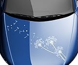 Verklebeanleitung: http://mydruck-store.de/verklebeanleitung.html