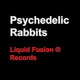 Liquid Fusion ® Records