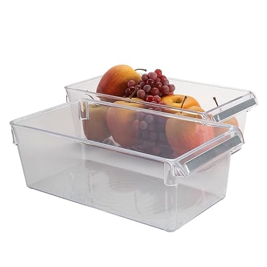Kitchen Details 2 PK Stainless Lip Fridge & Freezer Organizer, Kitchen, Countertops, Cabinets, Pantry, Medium 2 Pack Refrigerator Storage Bins, Super Clear