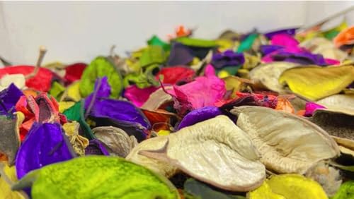 FLFWLASS - Hojas de flores de popurrí (sin fragancia) para decoración del hogar, decoración de hojas secas decorativas, hojas de flores secas (multicolor) (200 gramos)