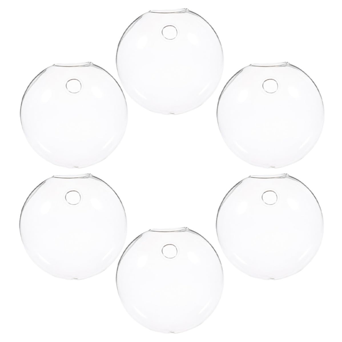 Vases muraux en verre pour plantes hydroponiques TIDTALEO (lot de 6) déco jardin