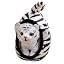 White Tiger Puppy