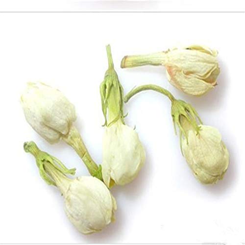 通用 50g Té de Flores Jazmín a principios de la Primavera Té de Hierbas floreciente orgánico 100% Natural - Imagen 5