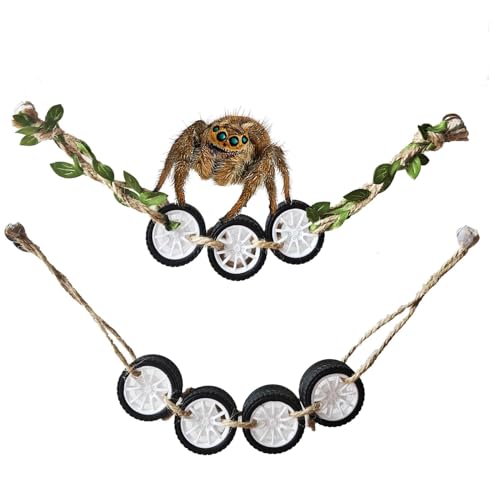 YOMENO Jumping Spider Enclosure Accessories 2 Pack Jumping Spider Climging Toy with 2 Installation Magnetic Hooks Jumping Spiders or Small Pets Made from Green Leaf and Hemp Rope Accents
