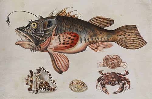 Poster Image Déco D'Art Murale Poisson des profondeurs Maria Si, grand tableau toile salon