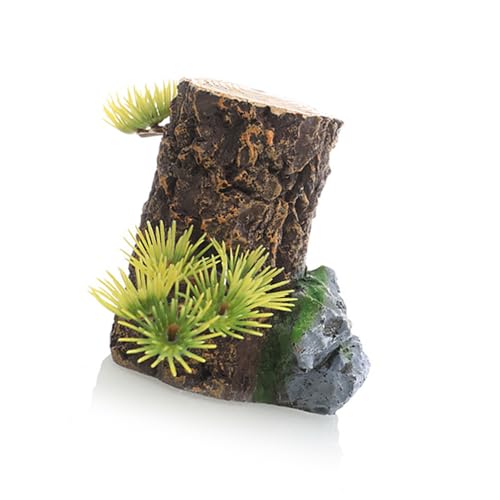 ِlHi؂芔gNGrɐB^N & eEnfUCق̑