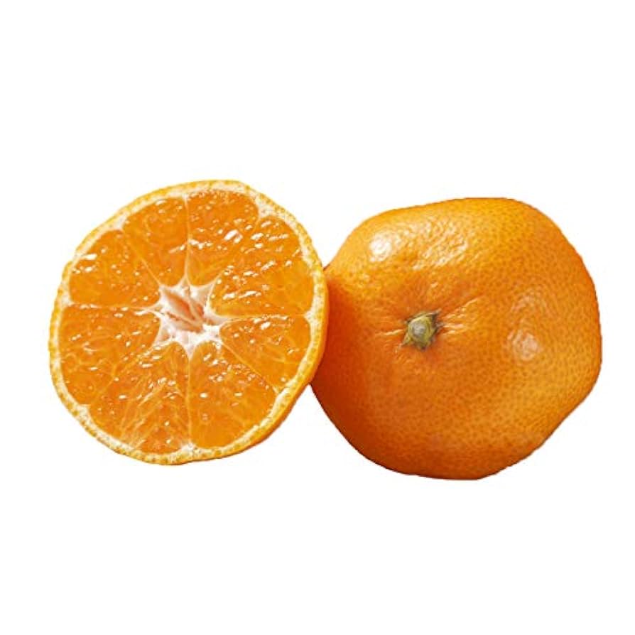 さんみかん☆プロフお読み下さい Amazon.co.jp: 則村のみかん 則村園 早生 有田みかん 10kg S M L