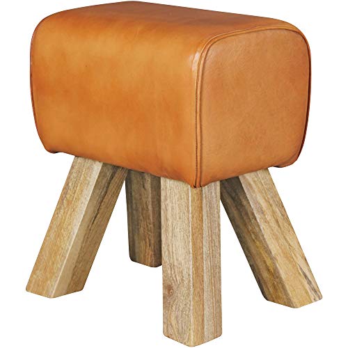 Wohnling Design Turnbock Sitzhocker Braun 40 x 30 x 47 cm | Turnhocker Hocker Lederhocker Springbock | Beistellhocker Echtleder Fußhocker Cover