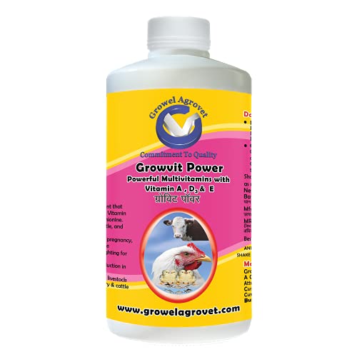 Image of Growel Agrovet Growvit Power Multivitamin Supplement for Poultry, Cattle, Goats, Sheep, Horses, Pigs, Pigeons, Pet Birds & Aquaculture | Supports Growth, Immunity, Energy & Overall Health - (1000 ml)