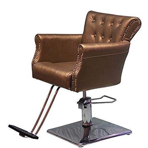 Beauty Style Styling Barber Chair Hair Beauty Salon Equipment Gold-Style 3