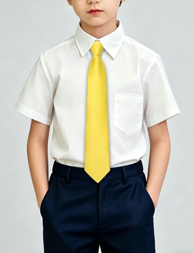 Image of Hi-Tie Pretied Boys Ties Solid Color Kids Adjustable Necktie Lapel Pin Clip Set Age 8-12 Wedding School Graduation