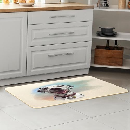 Tapis de cuisine dalmatien lavable et absorbant pour buanderie