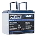 WEIZE 12V 100Ah BCI Group 24 LiFePO4 Lithium Battery with Self-Heating Function, Built-in 100A BMS, Up to 8000 Deep Cycles Perfect for RV, Solar, Marine, Camping, and Off Grid