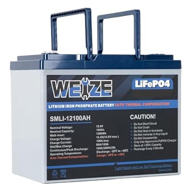 WEIZE 12V 100Ah BCI Group 24 LiFePO4 Lithium Battery with Self-Heating Function, Built-in 100A BMS, Up to 8000 Deep Cycles Perfect for RV, Solar, Marine, Camping, and Off Grid
