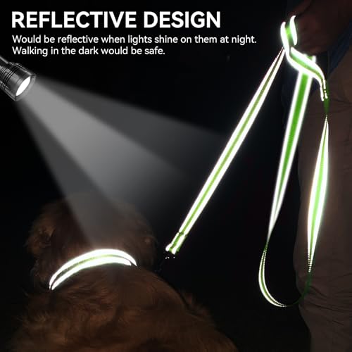 Joytale Hundeleine für Große und Mittelgroße Hunde, Doppelseitig Reflektierende Leine Hund aus Nylon mit Gepolstertem Griff, 1,8m x 2,5cm, Grün