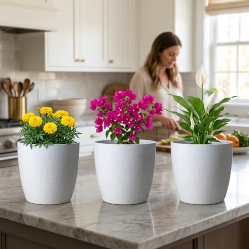 Image of YUCCABE ITALIA SHERA Stella 4 Inch Pack of 3 Piece Plastic Plant Pot for Home Decor Indoor Plant Pots for Living Room Plastic Flower Pot for Garden (Stone Grey, 10 INCH - 6 Pcs)