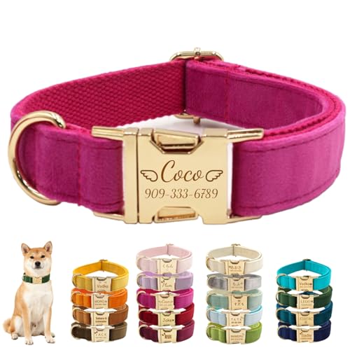 p qh~ OƓdbԍ[U[\ ʋCNbV y vbV _炩 \ 5TCY ^ ^ ^ L    [h t