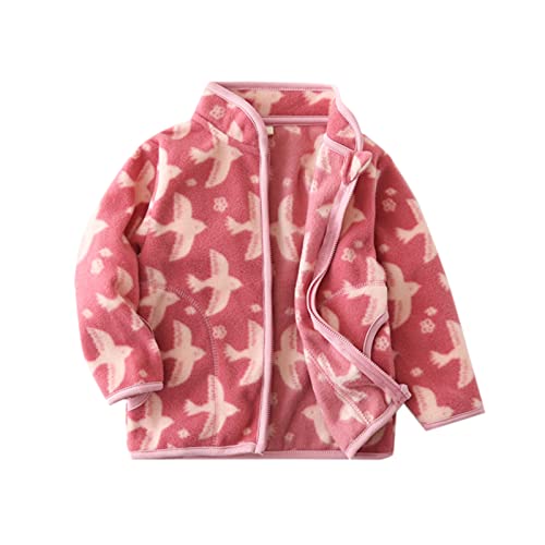 Girls and Toddlers' Polar Fleece Full-Zip Jacket Boys Lightweight Windproof Jacket Zip Up Sweatshirt Cartoon Fall Coat