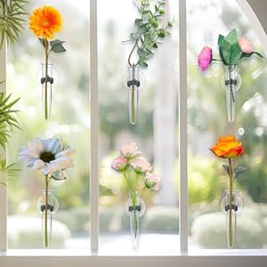 10 Pcs Window Propagation Stations Plant Propagation Tubes with Suction Cups Window Floral Water Tubes Easy to Install Clear Wall Hanging Terrarium Gifts for Plant Flower Lovers