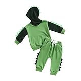 PUHHAPIEY Baby Boy Clothes Toddler Fall Winter Outfits Dinosaur Long Sleeve Hoodies Tops & Jogger Pants Sweatsuit (Green, 18-24 Months)