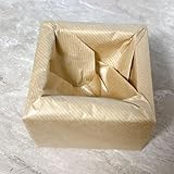 JAL 初日の出フライト 2024 升