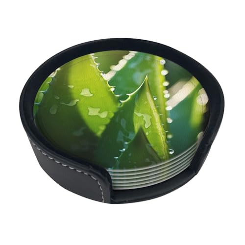 Juego de 6 posavasos redondos con estampado de aloe vera, resistente a quemaduras y arañazos, apto para mesas de café y mesas de comedor