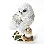 White Owl
