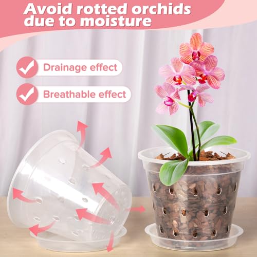 image for FUIJOL Orchid Pot, 6 Pack 3 Inch Clear Orchid Pots with Holes and Sauc