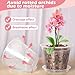 FUIJOL Orchid Pot, 6 Pack 4 Inch (Top Diameter) Clear Orchid Pots with Holes and Saucers for Repotting, Breathable Slotted Plastic Orchid Planters with Drainage for Root Health Indoor Outdoor