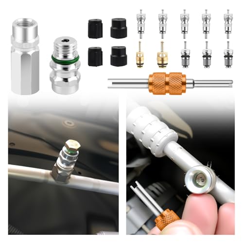 VKQTS 17PCS AC Valve Core Kit,Double Head A/C Valve Core