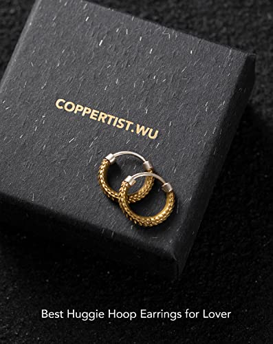 Coppertist.wu Snake Skin Hoop Earrings Brass Earrings Jewelry Gift W Box For Men Women Girls, S925 Pin Hypoallergenic #TOP6