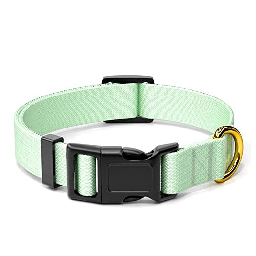 Rnivvi Dog Collar, Adjustable Green Dog Collars for Medium Dogs, Cute Puppy Collar for Boy and Girl Dogs, Heavy Duty Pet Collar with Quick Release Buckle for Walking Running, M Length 1" Width