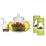 Primula Daisy 40 oz Glass Teapot Gift Set - Includes Infuser, 24 Variety Flavor Flowering Teas