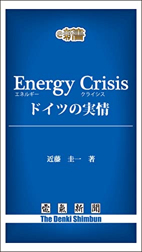 Energy Crisis ドイツの実情 (電気新聞e新書)