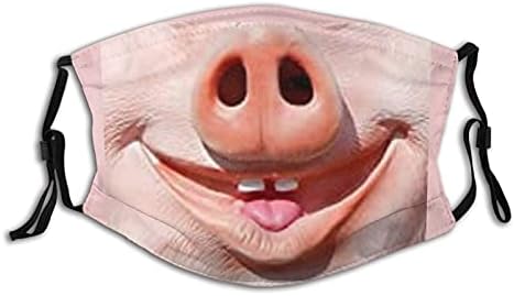 Funny Animals Face Mask Reusable Balaclavas Windproof Cloth Bandana Breathable Fashion Scarves For Adult (Pig Funny, 1 PCS)