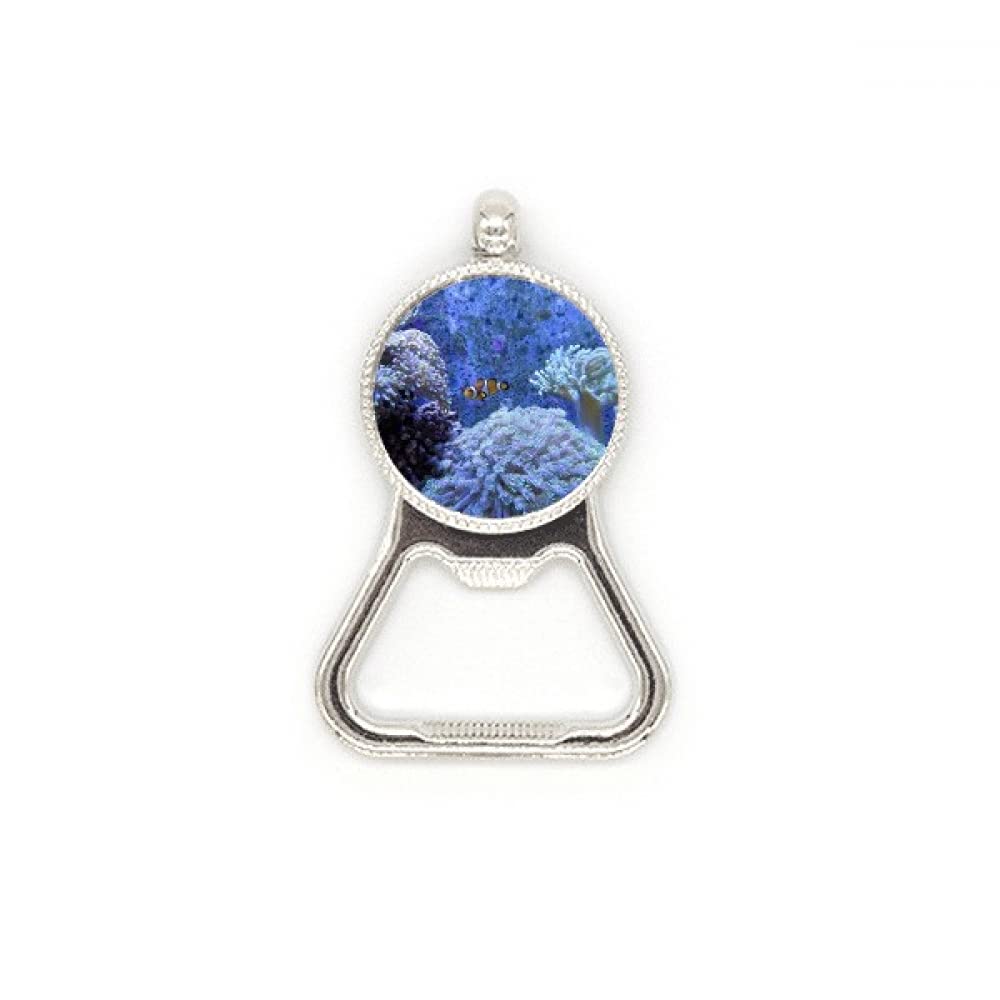 Décapsuleur poisson clown inox Ocean Science pour ouvrir facilement sans forcer