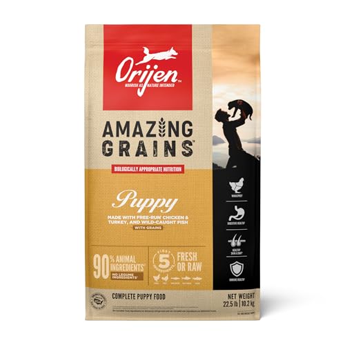 ORIJEN Amazing Grains High Protein Dry Dog Food Puppy Recipe 22.5lb Bag