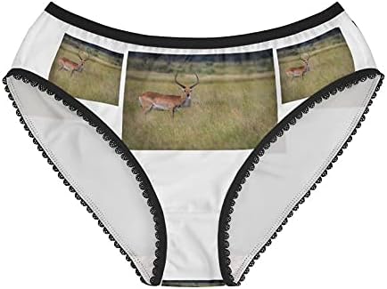 Lechwe Starring Panties, Lechwe Starring Underwear, Briefs, Cotton Briefs, Funny Underwear, Panties For Women